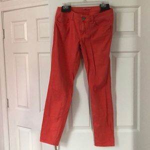 CAbi Coral Pants